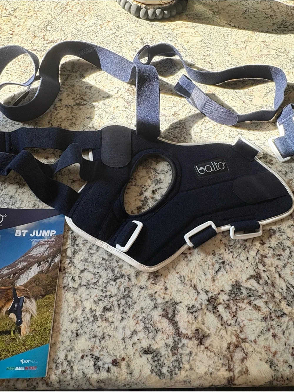 Left Rear Dog Knee Brace - Navy Blue USED